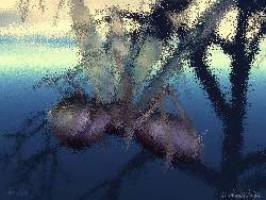 Wie kann ich wmv dateien abspielen