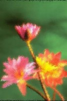 Theater spielen munchen