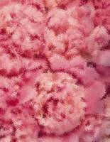 Drug interactions side effects