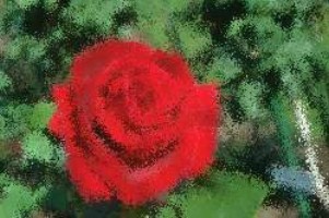 German mature housewife anal action