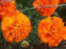 Xbox 360 spiele shop